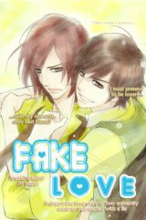 Fake Love (KOIDE Mieko)