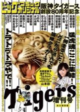 Hanshin Tigers Sousetsu 80 Shuunen Kinen Zoukan