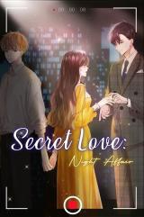 Secret Love Night Affair